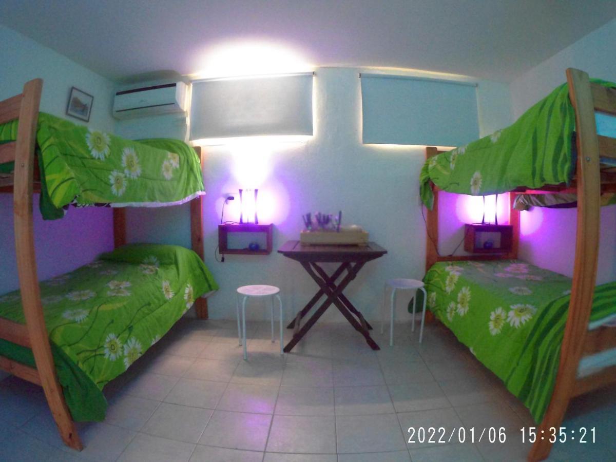 Complejo Aloha Hotel Puerto Piramides Ngoại thất bức ảnh